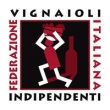 logo-fivi