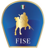 logo2-FISE logo2-FISE